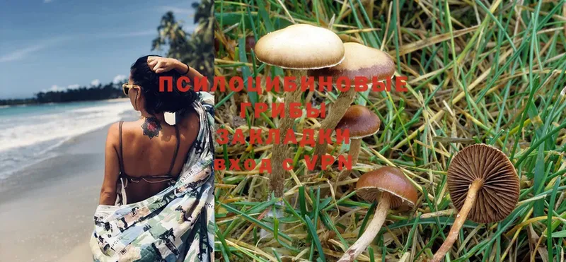 это состав  Кирсанов  Галлюциногенные грибы Psilocybe 